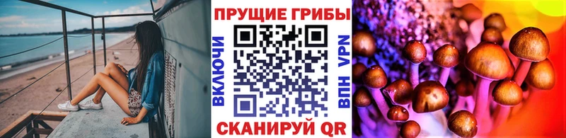 Галлюциногенные грибы MAGIC MUSHROOMS  купить  цена  Фокино 